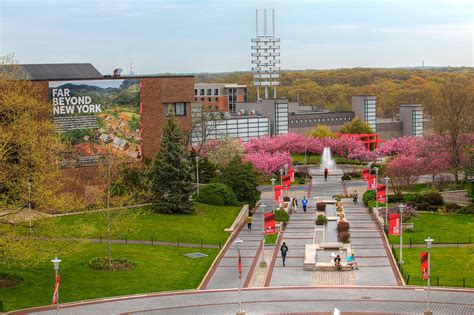 The Program in Public Health (PPH) is regionally accredited by the Middle States Commission on Higher Education (CHE MSA) as a component of SUNY Stony Brook University. . Suny stony brook
